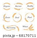 Set of Icons, Ears of Wheat, Vector Illustration, Icon of Premium Quality Farm Product in orange color 68170711