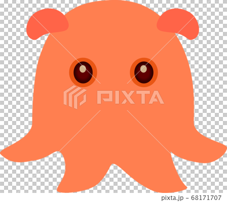 メンダコのイラスト素材 [68171707] - PIXTA