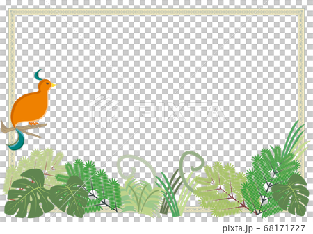 熱帯ジャングルと野鳥・フレーム 68171727
