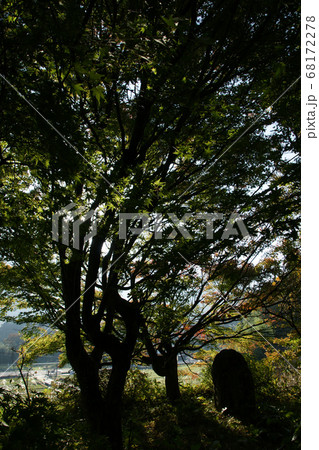 鳥取　四季の散歩　秋　紅葉　東光寺 68172278