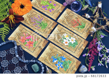 Mystic still life with tarot cards, pentagram and flowers on witch table. Esoteric, gothic and occult background with magic objects and herbs. Halloween fortune telling concept. Mystic still life with tarot cards, pentagram and flowers on witch table. Esoteric, gothic and occult background with magic objects and herbs. Halloween fortune telling concept. 68172633
