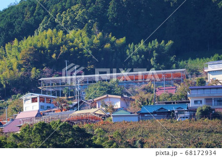 和歌山県かつらぎ町・串柿の里 和歌山県かつらぎ町・串柿の里 68172934