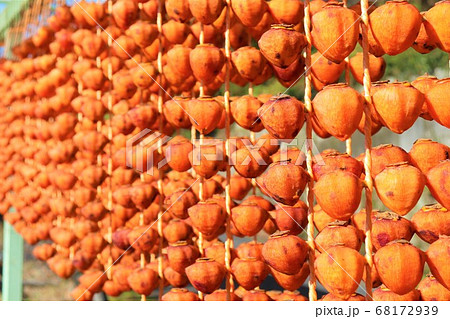 和歌山県かつらぎ町・串柿の里 和歌山県かつらぎ町・串柿の里 68172939