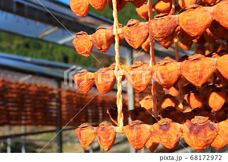 和歌山県かつらぎ町・串柿の里 和歌山県かつらぎ町・串柿の里 68172972