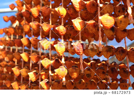 和歌山県かつらぎ町・串柿の里 和歌山県かつらぎ町・串柿の里 68172973