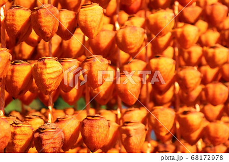 和歌山県かつらぎ町・串柿の里 和歌山県かつらぎ町・串柿の里 68172978