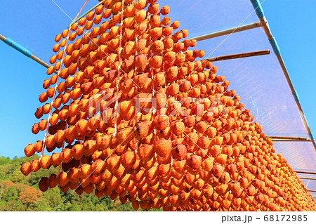 和歌山県かつらぎ町・串柿の里 和歌山県かつらぎ町・串柿の里 68172985