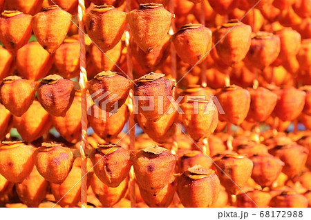 和歌山県かつらぎ町・串柿の里 68172988