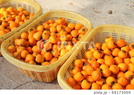 和歌山県かつらぎ町・串柿の里 和歌山県かつらぎ町・串柿の里 68173009