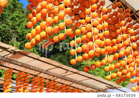和歌山県かつらぎ町・串柿の里 和歌山県かつらぎ町・串柿の里 68173039