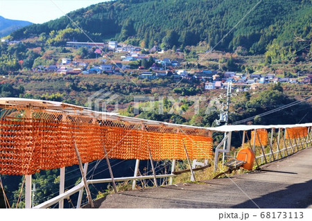 和歌山県かつらぎ町・串柿の里 68173113