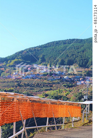和歌山県かつらぎ町・串柿の里 68173114