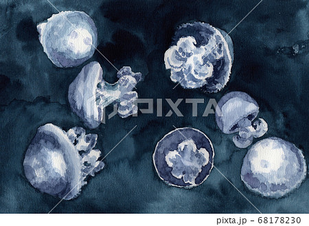 水彩で描いたクラゲ リクノリーザルサーナのイラストのイラスト素材