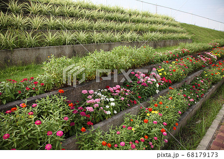 立体花壇の花、観葉植物 立体花壇の花、観葉植物 68179173