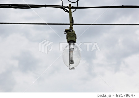 白熱灯 電球 照明 68179647