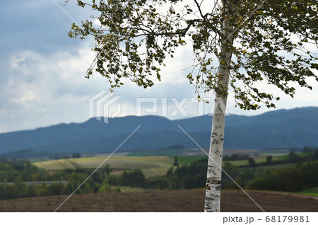 新栄の丘展望公園からの風景(北海道・美瑛) 新栄の丘展望公園からの風景(北海道・美瑛) 68179981