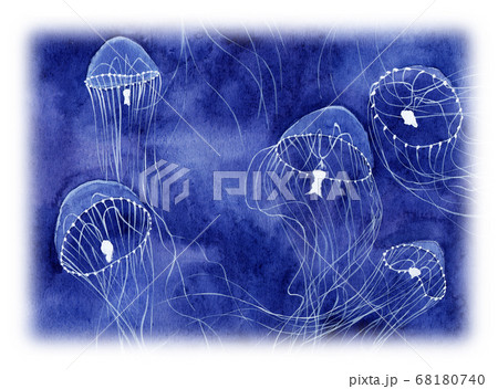 水彩で描いたギヤマンクラゲのイラストのイラスト素材