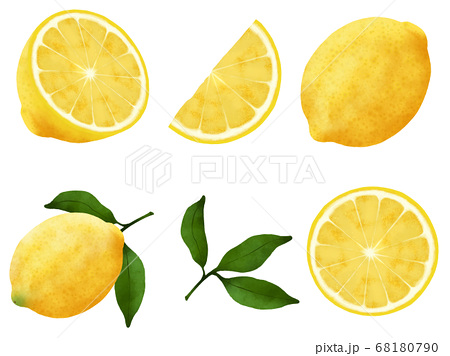 レモン 檸檬 柑橘系 イラストのイラスト素材