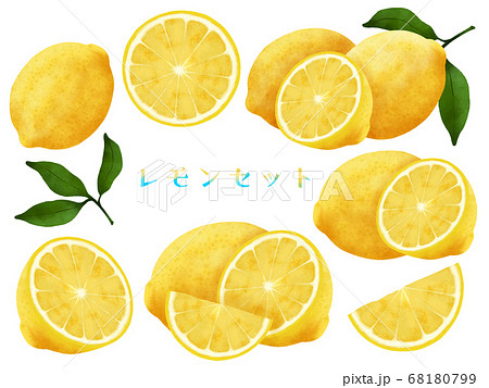 レモン 檸檬 柑橘系 イラストのイラスト素材