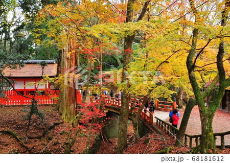 奈良 奈良公園 水谷神社と水谷川ほとりの鮮やかな紅葉 奈良 奈良公園 水谷神社と水谷川ほとりの鮮やかな紅葉 68181612
