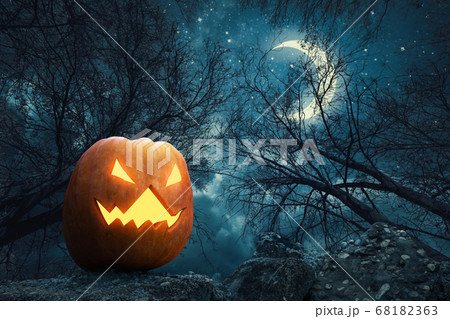 Spooky pumpkin lantern in the scary forest for Halloween 68182363