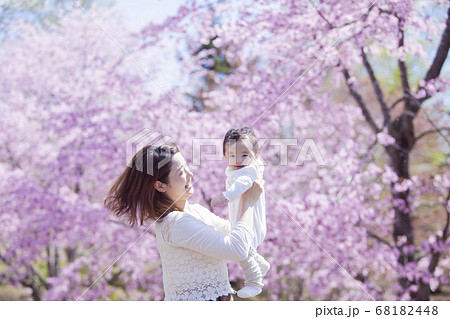 桜の木の下で遊ぶ家族 68182448