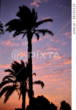 エジプトのカイロの3大ピラミット 68183129