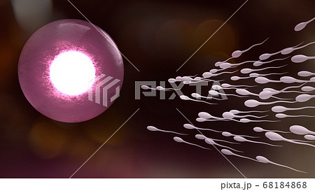 Sperm and ovary for sci content 3d rendering. Sperm and ovary for sci content 3d rendering. 68184868
