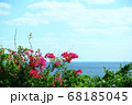 南国の海とブーゲンビリア 68185045