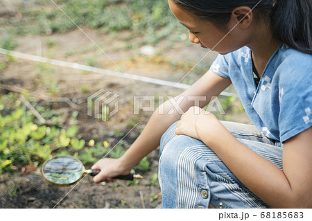 Girl examining little plant on dirt with Girl examining little plant on dirt with 68185683