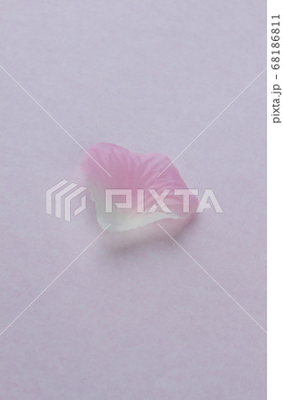 Single pale pink petal close up. Single pale pink petal close up. 68186811
