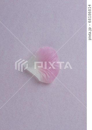 Close up one pink petal. Close up one pink petal. 68186814