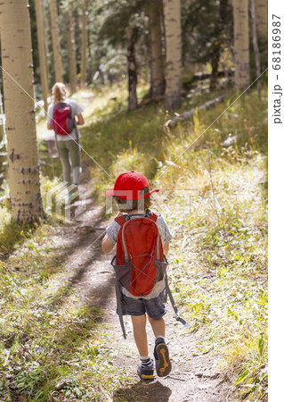 rear view of children walking on nature trail rear view of children walking on nature trail 68186987