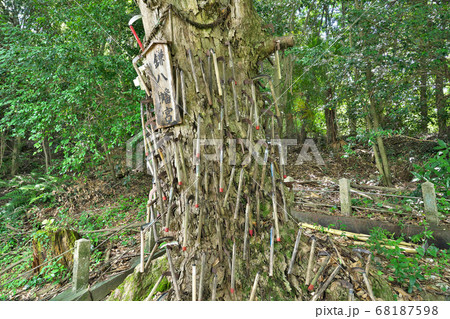 【丹生酒殿神社 (鎌八幡宮)】 和歌山県伊都郡かつらぎ町大字三谷 68187598