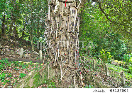 【丹生酒殿神社 (鎌八幡宮)】 和歌山県伊都郡かつらぎ町大字三谷 68187605