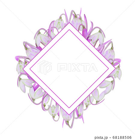 Romantic diamond-shaped frame with snowdrops on the outer edge on a white isolated background. Watercolor illustration in lilac tones 68188506
