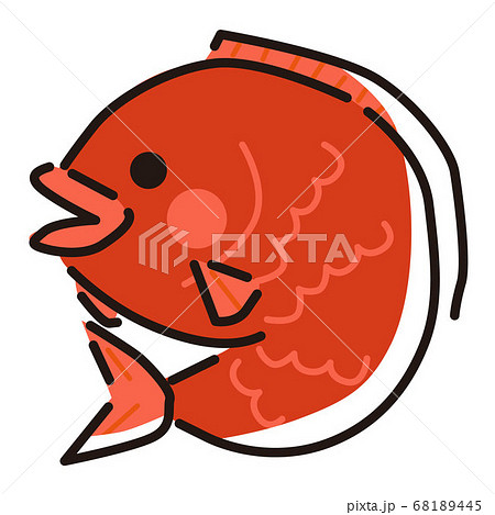 日本文化素材 縁起物鯛のイラスト素材