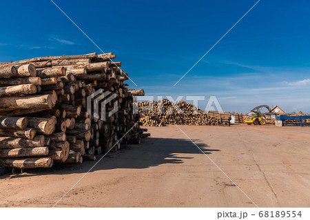 Woodworking factory. Tree wooden logs. Wood storage for industry. Felled tree trunks. Panorama of firewood cut tree trunk logs stacked prepared. Deforestation for Industrial production. Woodworking factory. Tree wooden logs. Wood storage for industry. Felled tree trunks. Panorama of firewood cut tree trunk logs stacked prepared. Deforestation for Industrial production. 68189554