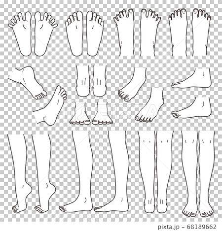 足と脚 パーツセット 足と脚 パーツセット 68189662