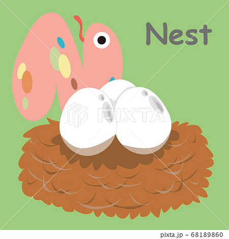 アルファベットカードNest アルファベットカードNest 68189860