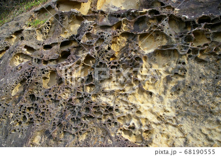 竜串の奇岩 68190555