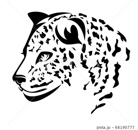 wild leopard black and white vector head portrait wild leopard black and white vector head portrait 68190777