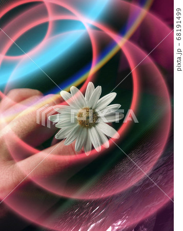 花 フラワー お花 68191499