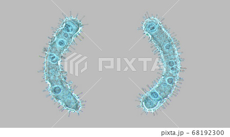 Alphabet made of virus isolated on gray background. Symbol left and right parentheses. 3d rendering. Covid font 68192300