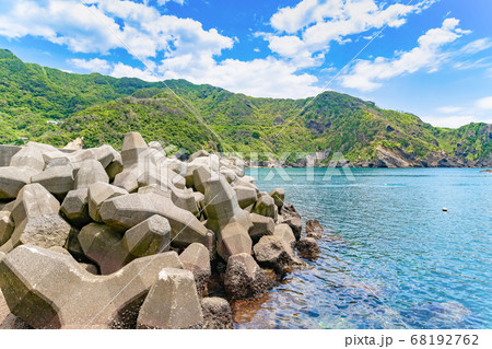静岡県賀茂郡南伊豆町　中木港 68192762