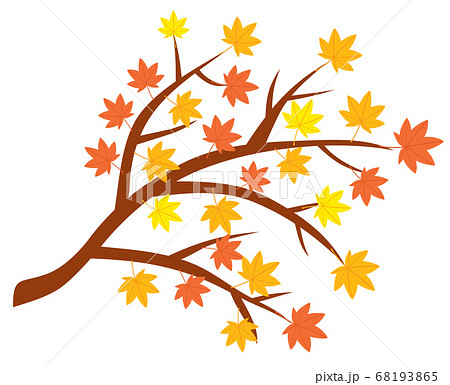 秋に色づいた赤や黄色の紅葉の木の枝のイラスト素材