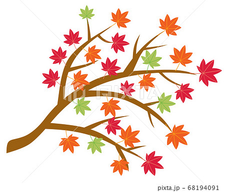 秋に色づいた紅葉の木の枝のイラスト素材