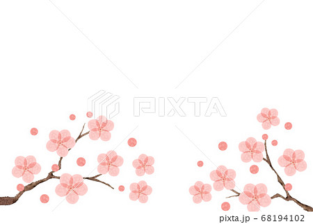 水彩の梅の花 はがきサイズのイラスト素材
