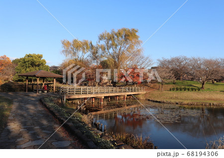秋の蓮田市西城沼公園 68194306