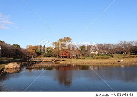秋の蓮田市西城沼公園 68194343